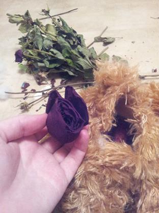 rose-heads-in-teddy-bear-what-to-do-with-dry-flowers