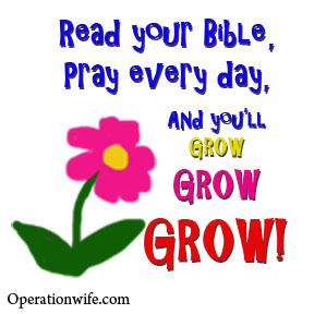 read-your-bible-pray-every-day